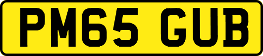 PM65GUB