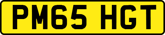 PM65HGT