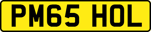 PM65HOL