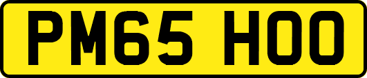 PM65HOO