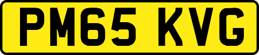 PM65KVG