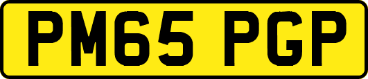 PM65PGP