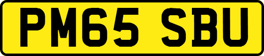PM65SBU