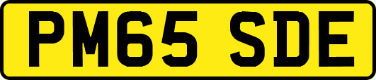 PM65SDE