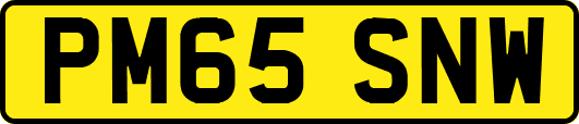 PM65SNW