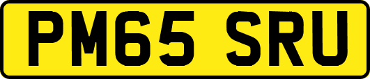 PM65SRU
