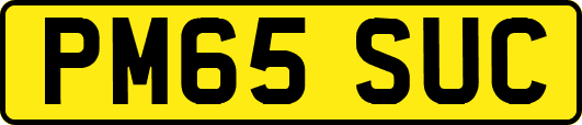 PM65SUC