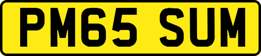 PM65SUM