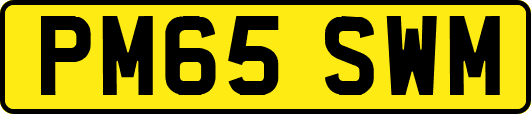 PM65SWM