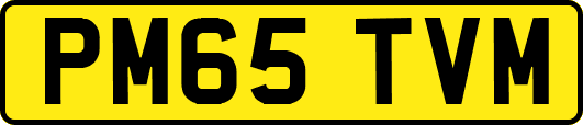 PM65TVM