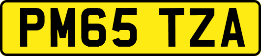 PM65TZA