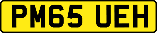 PM65UEH