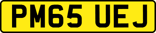 PM65UEJ