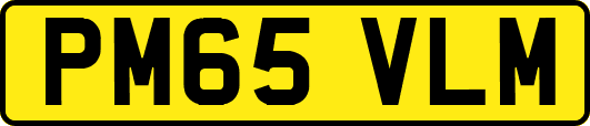 PM65VLM