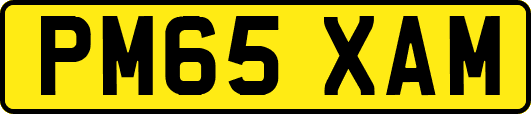 PM65XAM