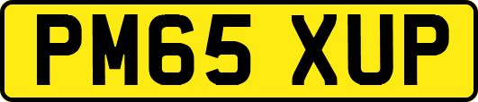 PM65XUP