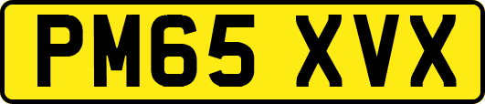 PM65XVX
