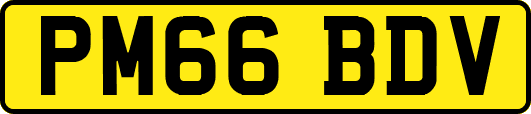 PM66BDV