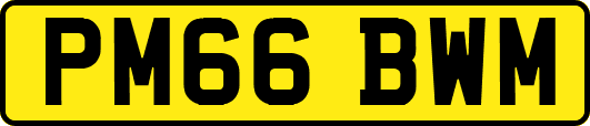 PM66BWM