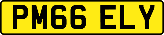 PM66ELY