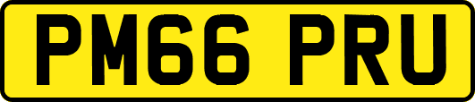 PM66PRU