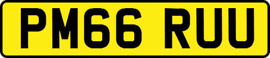 PM66RUU