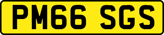 PM66SGS