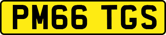 PM66TGS