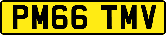 PM66TMV