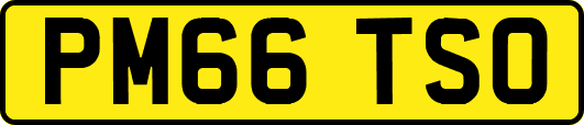 PM66TSO