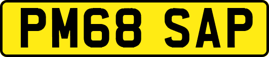 PM68SAP