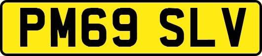 PM69SLV