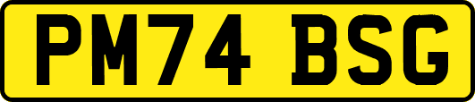 PM74BSG
