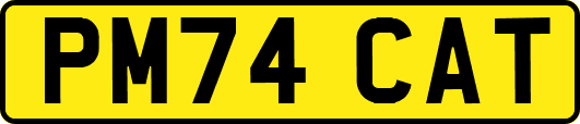 PM74CAT