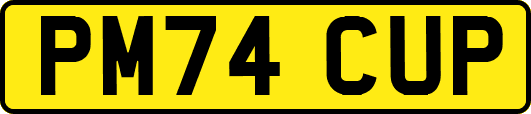 PM74CUP