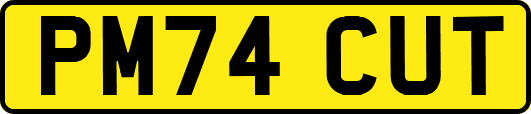PM74CUT
