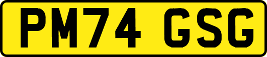 PM74GSG