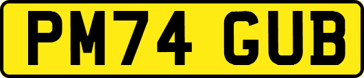PM74GUB