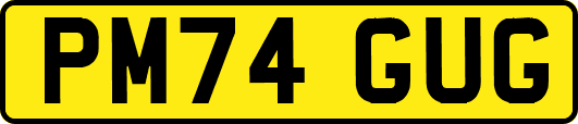 PM74GUG