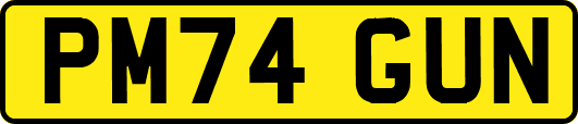 PM74GUN
