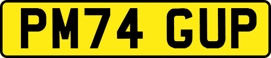 PM74GUP