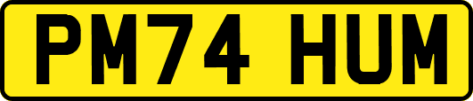 PM74HUM
