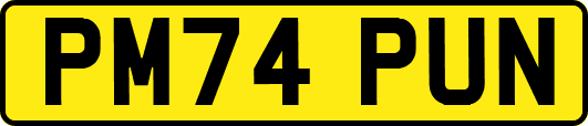PM74PUN