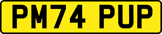 PM74PUP