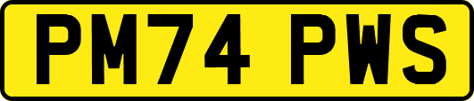PM74PWS