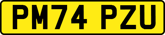 PM74PZU