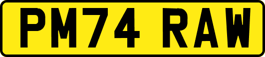 PM74RAW