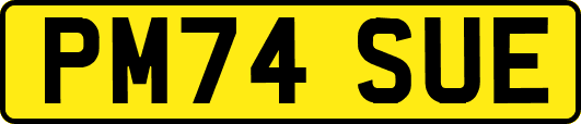 PM74SUE