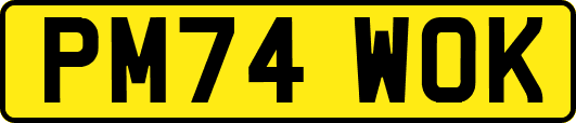 PM74WOK