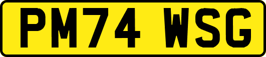 PM74WSG